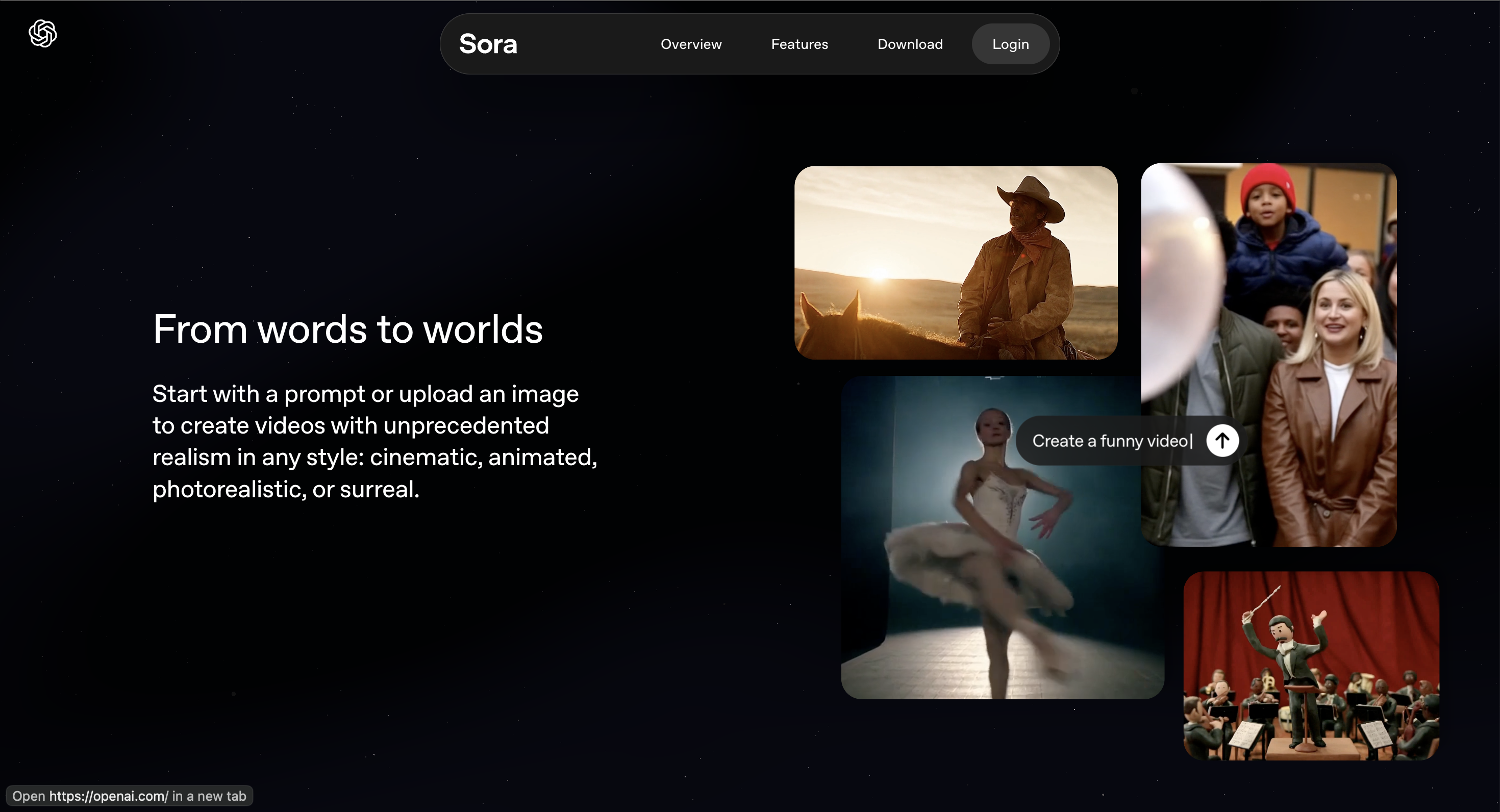 Sora product image